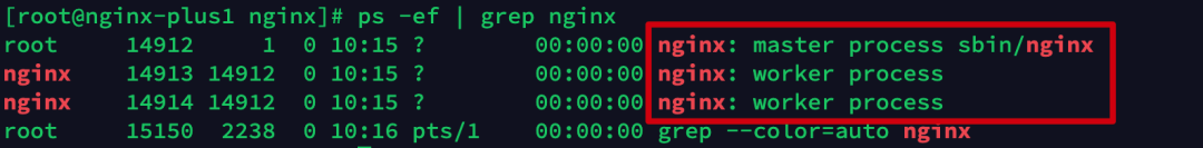 Nginx进程.png